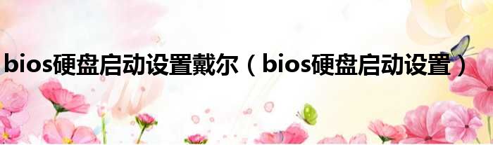 bios硬盘启动设置戴尔（bios硬盘启动设置）