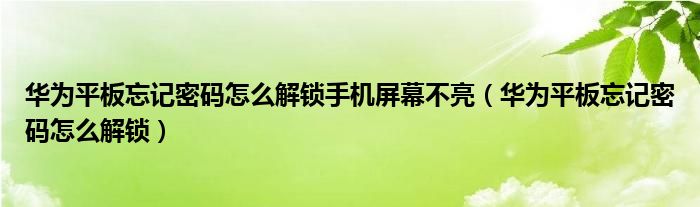 华为平板忘记密码怎么解锁手机屏幕不亮（华为平板忘记密码怎么解锁）