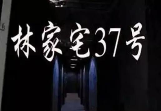 林家宅37号事件是什么（林家宅37号真实事件）