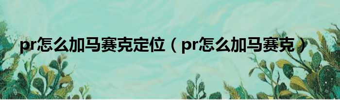 pr怎么加马赛克定位（pr怎么加马赛克）