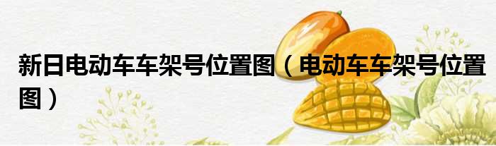 新日电动车车架号位置图（电动车车架号位置图）