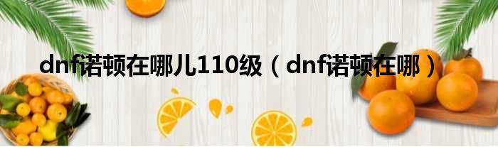 dnf诺顿在哪儿110级（dnf诺顿在哪）