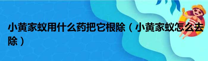 小黄家蚁用什么药把它根除（小黄家蚁怎么去除）