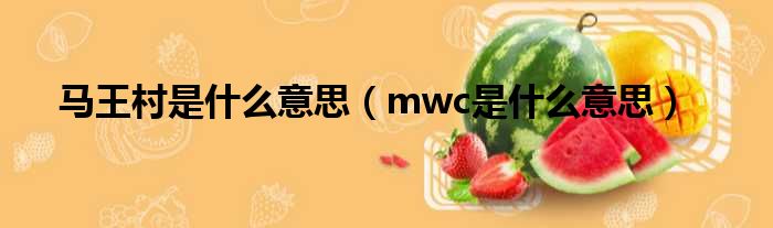 马王村是什么意思（mwc是什么意思）