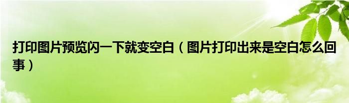 打印图片预览闪一下就变空白（图片打印出来是空白怎么回事）