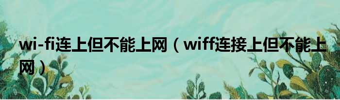 wi-fi连上但不能上网（wiff连接上但不能上网）