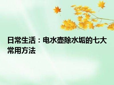 日常生活：电水壶除水垢的七大常用方法