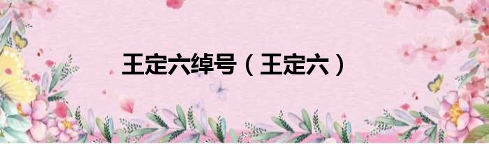 王定六绰号（王定六）