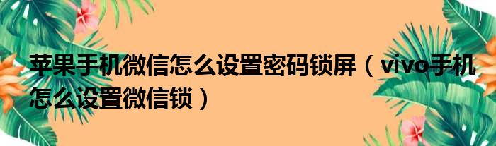 苹果手机微信怎么设置密码锁屏（vivo手机怎么设置微信锁）