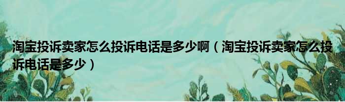 淘宝投诉卖家怎么投诉电话是多少啊（淘宝投诉卖家怎么投诉电话是多少）