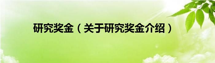  研究奖金（关于研究奖金介绍）