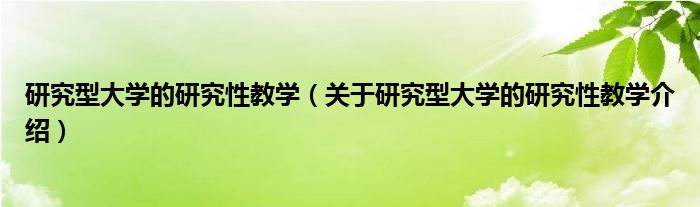  研究型大学的研究性教学（关于研究型大学的研究性教学介绍）