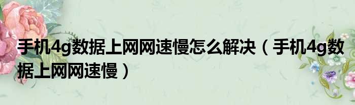 手机4g数据上网网速慢怎么解决（手机4g数据上网网速慢）