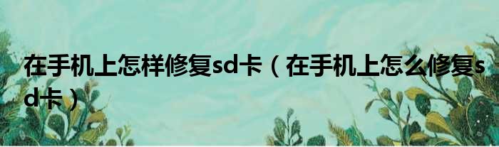 在手机上怎样修复sd卡（在手机上怎么修复sd卡）