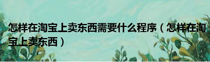 怎样在淘宝上卖东西需要什么程序（怎样在淘宝上卖东西）