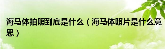 海马体拍照到底是什么（海马体照片是什么意思）