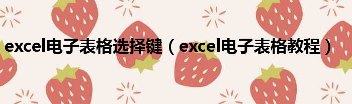 excel电子表格选择键（excel电子表格教程）