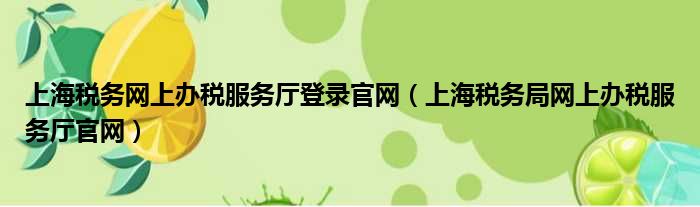 上海税务网上办税服务厅登录官网（上海税务局网上办税服务厅官网）