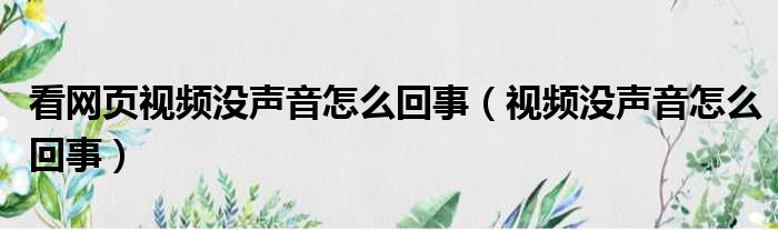 看网页视频没声音怎么回事（视频没声音怎么回事）