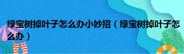 绿宝树掉叶子怎么办小妙招（绿宝树掉叶子怎么办）