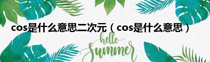 cos是什么意思二次元（cos是什么意思）