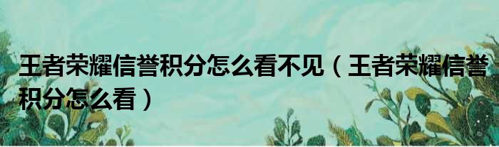 王者荣耀信誉积分怎么看不见（王者荣耀信誉积分怎么看）