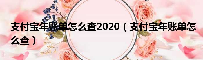 支付宝年账单怎么查2020（支付宝年账单怎么查）