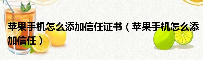 苹果手机怎么添加信任证书（苹果手机怎么添加信任）