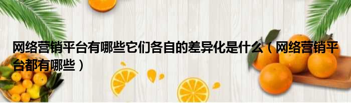 网络营销平台有哪些它们各自的差异化是什么（网络营销平台都有哪些）