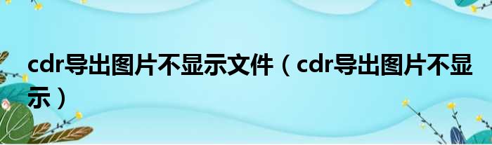 cdr导出图片不显示文件（cdr导出图片不显示）