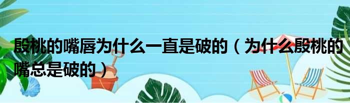 殷桃的嘴唇为什么一直是破的（为什么殷桃的嘴总是破的）