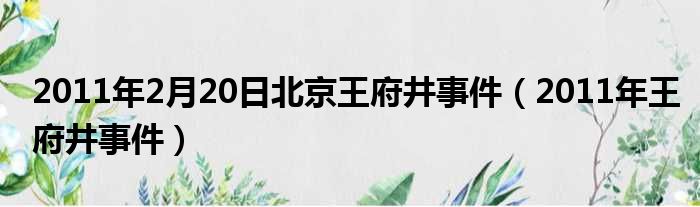 2011年2月20日北京王府井事件（2011年王府井事件）
