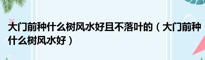 大门前种什么树风水好且不落叶的（大门前种什么树风水好）