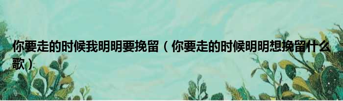 你要走的时候我明明要挽留（你要走的时候明明想挽留什么歌）