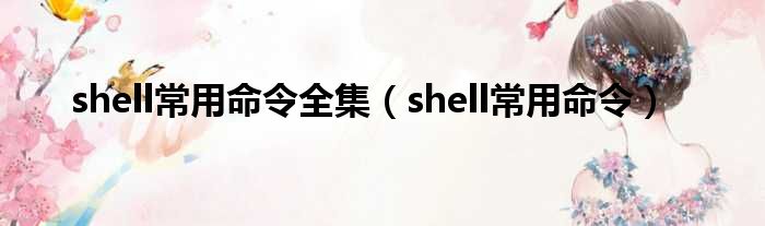 shell常用命令全集（shell常用命令）