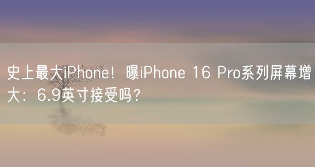 史上最大iPhone！曝iPhone 16 Pro系列屏幕增大：6.9英寸接受吗？