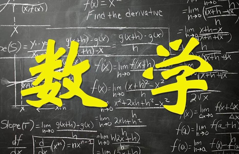 数学史上公认的4名最伟大的数学家百度百科（世界三大数学家）(图4)