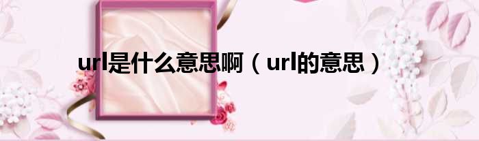 url是什么意思啊（url的意思）