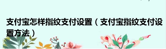 支付宝怎样指纹支付设置（支付宝指纹支付设置方法）