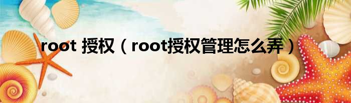 root 授权（root授权管理怎么弄）