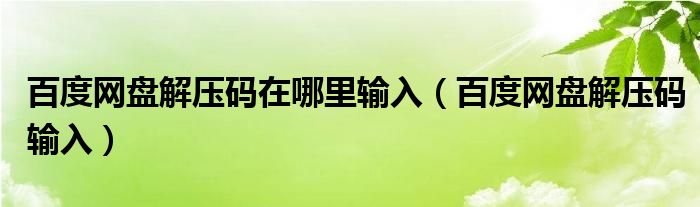 百度网盘解压码在哪里输入（百度网盘解压码输入）