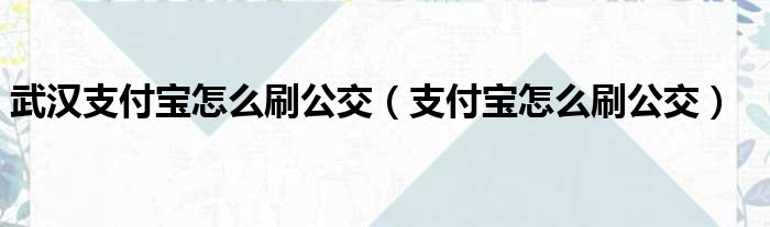 武汉支付宝怎么刷公交（支付宝怎么刷公交）