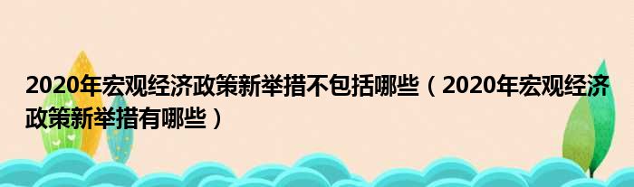 2020年宏观经济政策新举措不包括哪些（2020年宏观经济政策新举措有哪些）