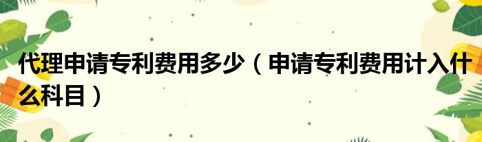 代理申请专利费用多少（申请专利费用计入什么科目）