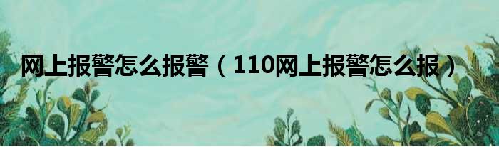 网上报警怎么报警（110网上报警怎么报）