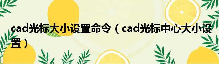 cad光标大小设置命令（cad光标中心大小设置）