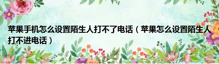 苹果手机怎么设置陌生人打不了电话（苹果怎么设置陌生人打不进电话）