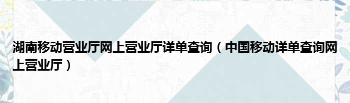 湖南移动营业厅网上营业厅详单查询（中国移动详单查询网上营业厅）