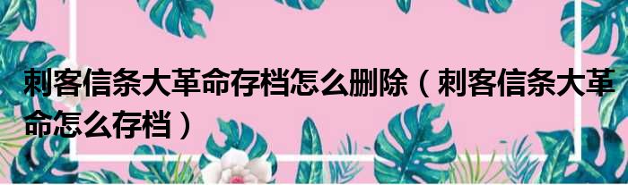 刺客信条大革命存档怎么删除（刺客信条大革命怎么存档）