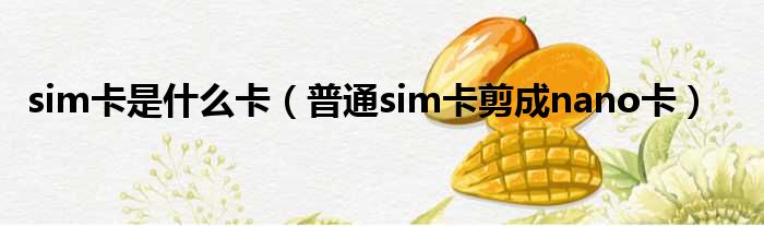 sim卡是什么卡（普通sim卡剪成nano卡）